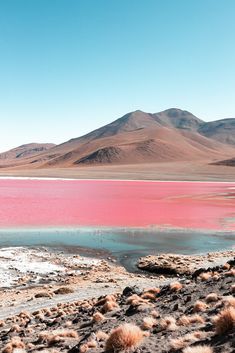 pink water in the middle of nowhere with mountains in the backgrounnds