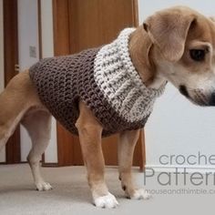 a dog wearing a sweater standing in front of a door