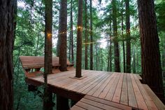 a wooden deck in the middle of a forest with lights strung from it's sides