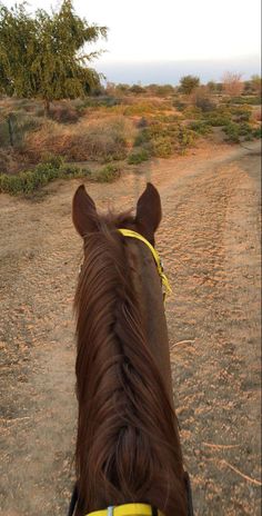 the back end of a horse's head as it walks down a dirt road