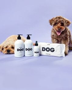 a brown dog sitting next to three bottles of shampoos and a white bag