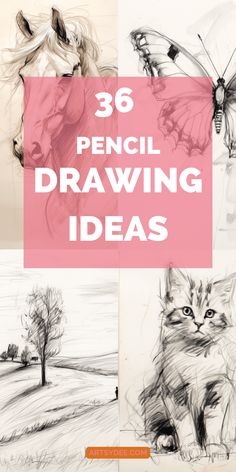 pencil drawing ideas for beginners to learn how to draw animals and butterflies with this easy step - by - step guide