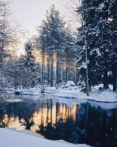 a small lake surrounded by snow covered trees