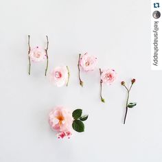 pink flowers are arranged in the shape of letters on a white surface with green leaves