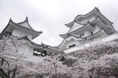 some white buildings and trees with pink flowers in the foreground on a cloudy day