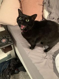 a black cat sitting on top of a bed