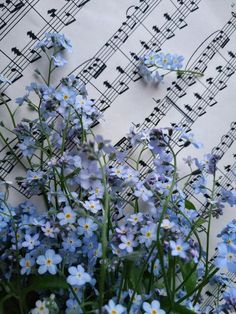 blue flowers are in front of sheet music