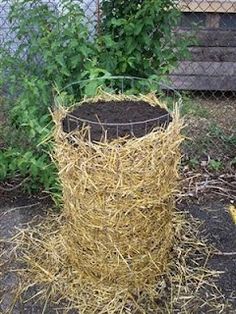 a metal basket filled with hay sitting on top of a patch of dirt next to a bush