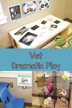 the vet dramatic play area is filled with toys, books, and other things to do