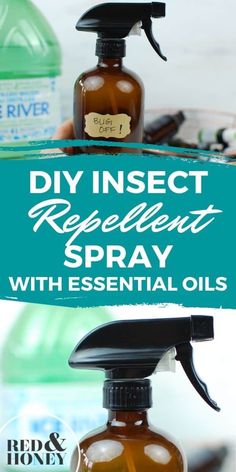 DIY Insect Repellent Spray with Essential Oils. Don't get eaten alive in your yards or houses by mosquitoes, gnats and biting flies this summer, use this spray for people (kids 6 and up) instead! It's non-toxic and actually works! #DIY #bugspray #insectrepellent #essentialoils Gnat Spray Essential Oils, Essential Oil Fly Repellant, Diy Insect Repellent, Fly Repellant Diy Outdoors Essential Oil, Mosquito Repellent Essential Oils, Essential Oil Plant Spray For Bugs, Eo Bug Spray Insect Repellent, Insect Repellent Essential Oils, Mosquito Repellent Spray