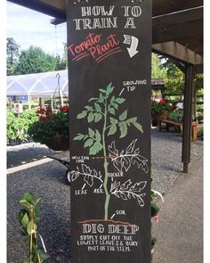 a blackboard sign with plants on it in the middle of a parking lot next to potted plants