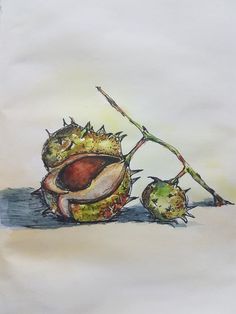 a drawing of some fruit on a table