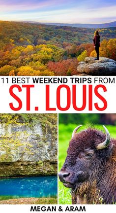 the best weekend trips from st louis, michigan and new york are featured in this postcard