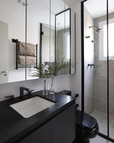 a black and white bathroom with a plant in the corner on the sink counter next to the mirror