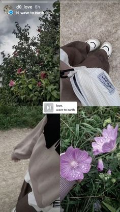 an instagram photo with flowers and someone's shoes