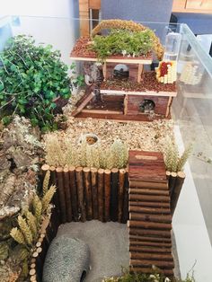 a display case with plants and rocks in the shape of houses on top of each other