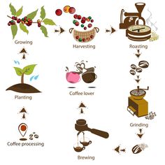 coffee related items and their names stock photo - image 3498762