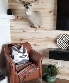 a deer head mounted to the side of a wooden wall next to a chair and potted plant