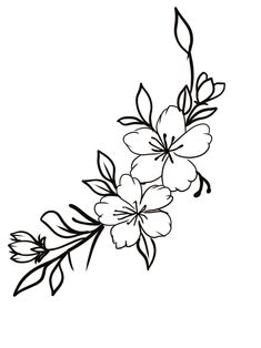 the outline of flowers on a white background