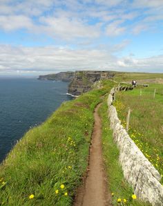 a dirt path leading to the ocean with yellow flowers growing on both sides and cliffs in the background