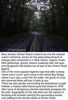 an image of a road in the middle of trees and text that reads, ollivia's post