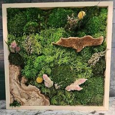 moss and other plants in a wooden frame on a counter top with an animal figurine