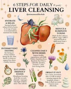 Healthy Herbs - Health Tips on Instagram: "Liver love is always trending in our world of plant medicines. 🥬✨ Great post by @animamundiherbals ❤️ Did you know the liver holds roughly 13% of the body’s total blood supply? 🩸 Performing hundreds of jobs, including maintaining our brain 🧠 health, we owe our liver a much needed rest from its critical role of eliminating toxins, regulating mood, and so much more. 🔄 If you flush your liver daily, you’ll never need another detox or cleansing protocol دورة شهرية, Routine Checklist, Magia Das Ervas, Resep Diet, Home Health Remedies, Herbal Healing, Herbal Magic, Herbs For Health