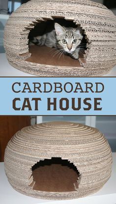 the cat house is made out of cardboard