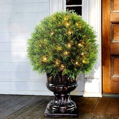 a potted plant with lights in it on the front porch next to a door