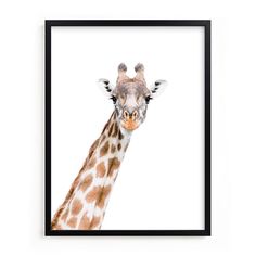 a giraffe's head is shown in a black frame on a white wall