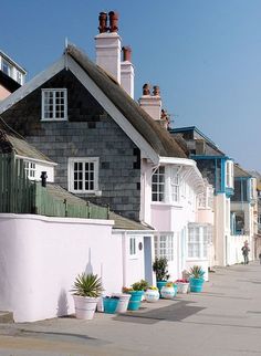 several potted plants line the side of a row of houses in front of blue and white buildings