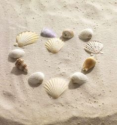 several seashells are arranged in the shape of a heart