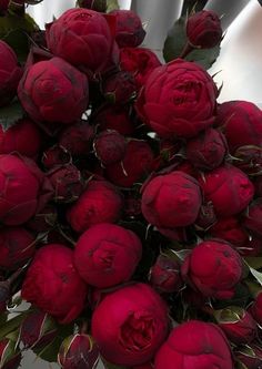 a bunch of red flowers sitting on top of a white table next to a metal object