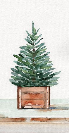 a watercolor painting of a small pine tree in a wooden box on the ground