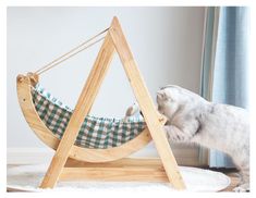 a cat is playing with a hammock on the floor