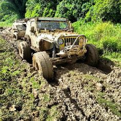 an off - road jeep driving through mud in the woods