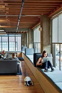 two people sitting on couches in an office with a dog laying next to them