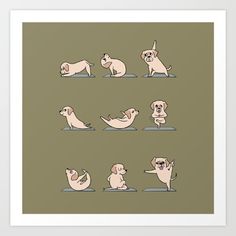 an art print with dogs doing different yoga poses in various positions, including the dog's body and legs