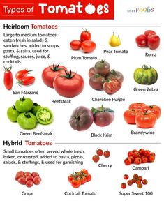 the different types of tomatoes and their names