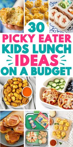 the cover of 30 picky eater kids lunch ideas on a budget, including snacks and desserts