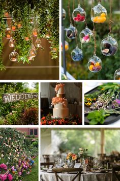 many different pictures of flowers and plants in vases, hanging from the ceiling with candles on them