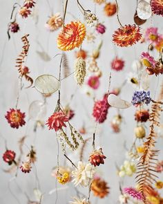 an arrangement of dried flowers hanging from the ceiling