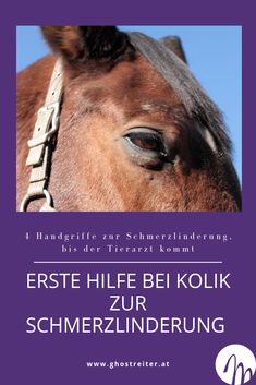 a close up of a horse's face with the words, erste hilfe be kolik