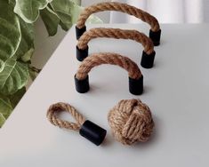 three ropes tied together on a table next to a potted plant