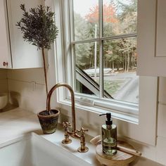 a kitchen sink sitting under a window next to a potted plant