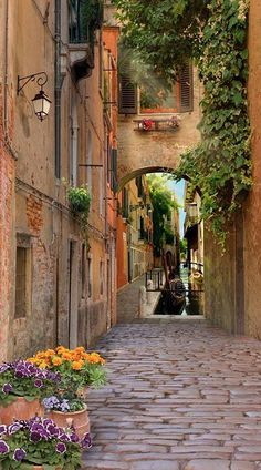 an alley way with potted flowers on the side