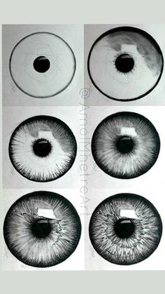 four different types of eyeballs are shown in the same image, one is black and white