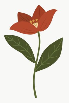 Red Lily Flower, Botanical Christmas, Single Flowers, Crocus Flower, Flowers Illustration, Anemone Flower, Christmas Flowers, Plant Illustration, Single Flower