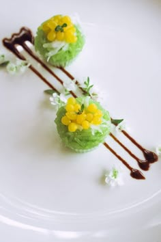 two desserts on a white plate with chocolate sauce and flowers