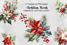 christmas floral clipart set with holly, poinsettis and mistle flowers